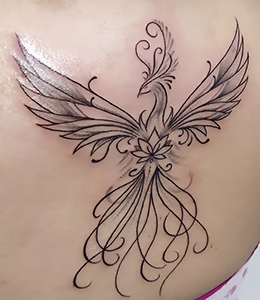 traço minimalista phoenix